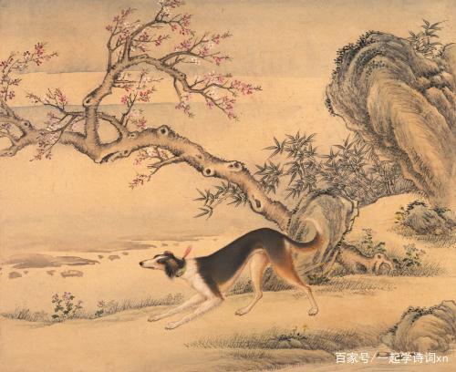 猎犬自是山上丧,归根到底终须离!指是猜一最佳生肖请全面释义、解释与落实、详细解答解释落实