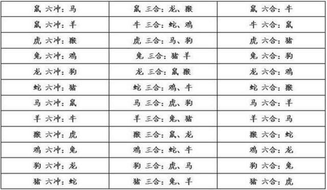 九合六合五合开打一精准生肖精选解析、解释与落实、实证解答解释落实